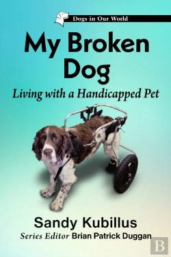 Bertrand.pt - My Broken Dog