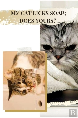 Bertrand.pt - My Cat Licks Soap Does Yours?