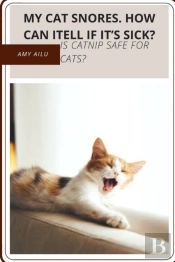 My Cat Snores. How Can Itell If It'S Sick?