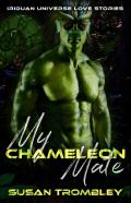 My Chameleon Mate