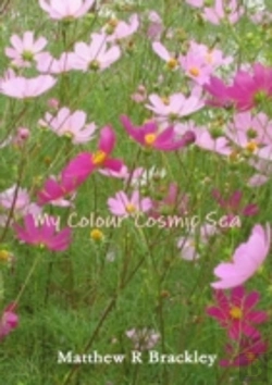 Bertrand.pt - My Colour Cosmic Sea