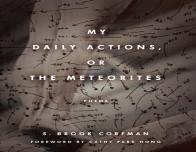 My Daily Actions, Or The Meteorites