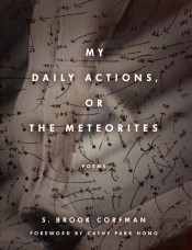 My Daily Actions, Or The Meteorites