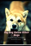 My Dog Hates Other Dogs