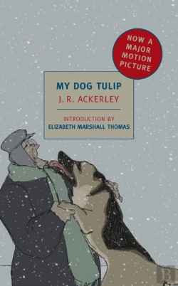 Bertrand.pt - My Dog Tulip