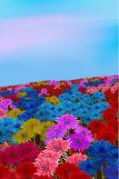 My Dotted Journal - Oh My Bottle Flower Field
