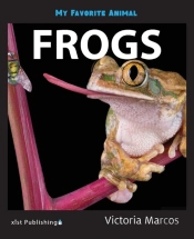 My Favorite Animal: Frogs