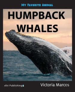 Bertrand.pt - My Favorite Animal: Humpback Whales