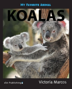 Bertrand.pt - My Favorite Animal: Koalas