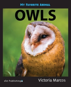Bertrand.pt - My Favorite Animal: Owls