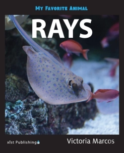Bertrand.pt - My Favorite Animal: Rays
