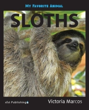 My Favorite Animal: Sloths