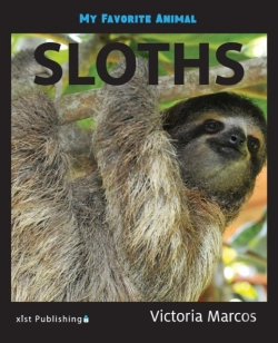 Bertrand.pt - My Favorite Animal: Sloths