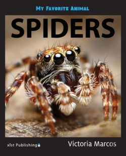 Bertrand.pt - My Favorite Animal: Spiders