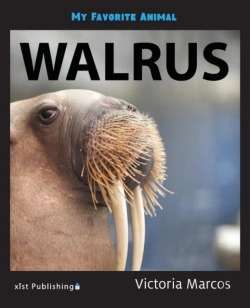 Bertrand.pt - My Favorite Animal: Walrus