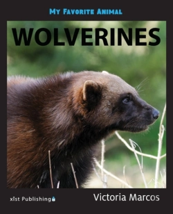 Bertrand.pt - My Favorite Animal: Wolverines