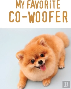 Bertrand.pt - My Favorite Co-Woofer: Furry Co-Worker