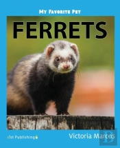 My Favorite Pet: Ferrets