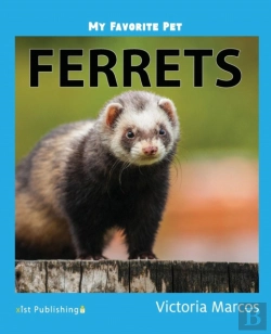 Bertrand.pt - My Favorite Pet: Ferrets