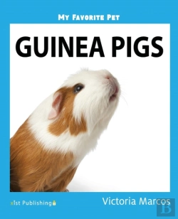 Bertrand.pt - My Favorite Pet: Guinea Pigs