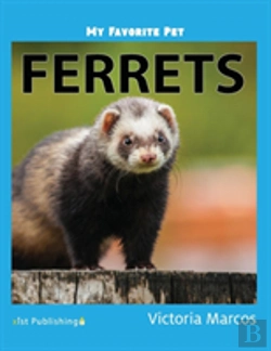 Bertrand.pt - My Favorite Pet