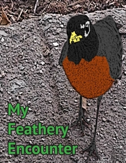 Bertrand.pt - My Feathery Encounter