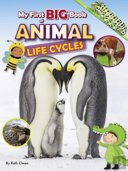 Bertrand.pt - My First Big Book Of Animal Life Cycles
