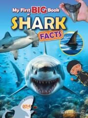 My First Big Book Of Shark Facts