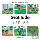 My First Bilingual Bookgratitude (Englishurdu)