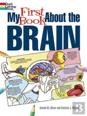 My First Book About The Brain