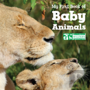 My First Book Of Baby Animals (National Wildlife Federation)