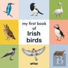 My First Book Of Irish Birds