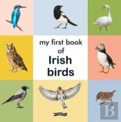 My First Book Of Irish Birds
