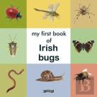 My First Book Of Irish Bugs