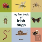 My First Book Of Irish Bugs