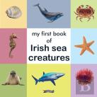 My First Book Of Irish Sea Creatures
