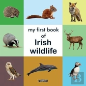 My First Book Of Irish Wildlife