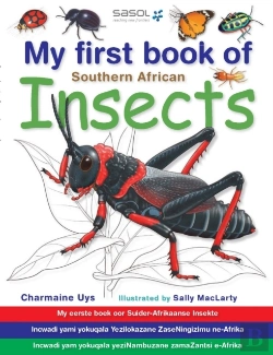 Bertrand.pt - My First Book Of Southern African Insects