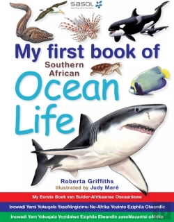 Bertrand.pt - My First Book Of Southern African Ocean Life