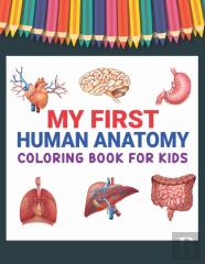 My First Human Anatomy Coloring Book For Kids