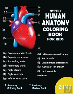 Bertrand.pt - My First Human Coloring Book For Kids