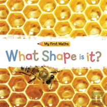 My First Maths: What Shape Is It?