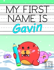 My First Name Is Gavin