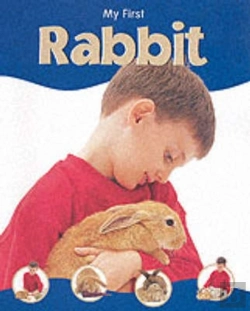 Bertrand.pt - My First Pet Rabbit