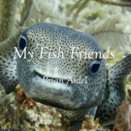 My Fish Friends