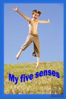 My Five Senses