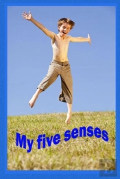 My Five Senses