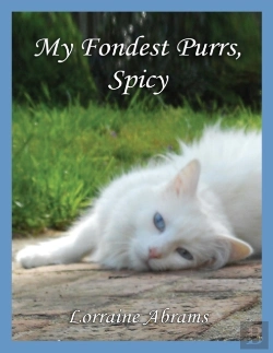 Bertrand.pt - My Fondest Purrs, Spicy