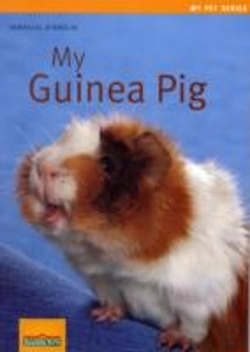 Bertrand.pt - My Guinea Pig