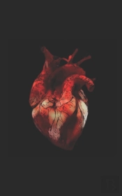 My Heart'S Story